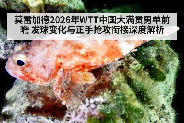 莫雷加德2026年WTT中国大满贯男单前瞻 发球变化与正手抢攻衔接深度解析